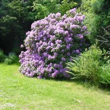 펜션 Ederseeblick In Bringhausen Am Edersee