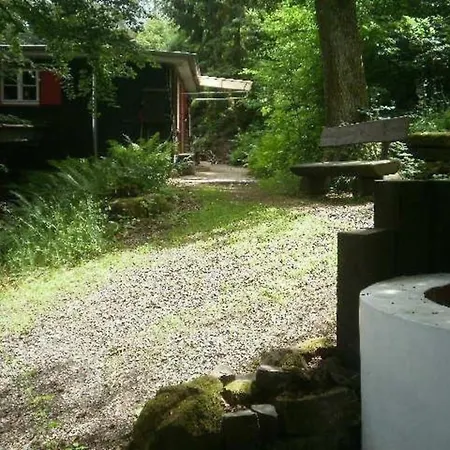 Ederseeblick In Bringhausen Am Edersee